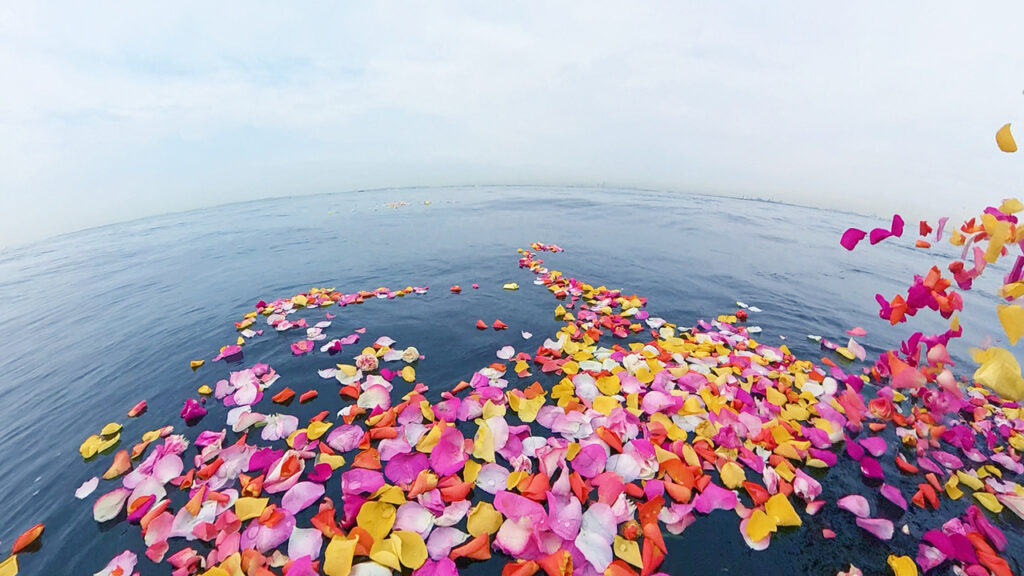 横浜沖で散骨