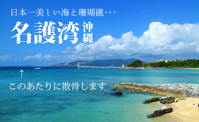 日本一美しい海と珊瑚礁　名護湾　沖縄