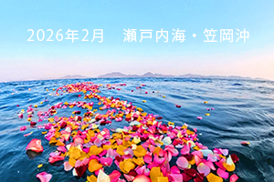 岡山の散骨 2026年2月 瀬戸内海・笠岡沖