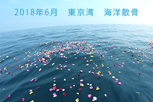 2018年6月　東京湾海洋散骨
