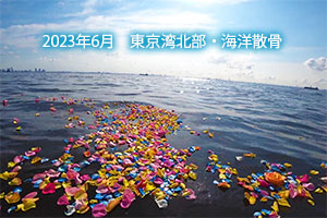 2023年6月　東京湾北部　海洋散骨