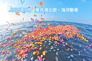 東京湾散骨 2025年9月 東京湾北部・海洋散骨