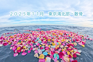 東京湾の海洋散骨 2025年11月 東京湾北部・海洋散骨