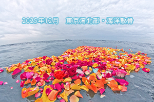 散骨 2025年12月 東京湾北部・海洋骨