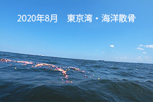 2020年8月　東京湾・海洋散骨