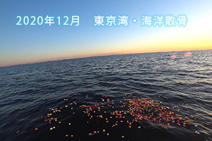 2020年12月　東京湾・海洋散骨