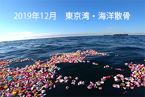 散骨 - 東京湾（2019年12月）