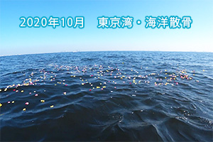 2020年10月　東京湾・海洋散骨