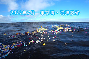 2022年7月　東京湾北部・海洋散骨
