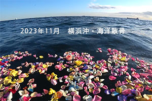 2023年11月　横浜沖・海洋散骨